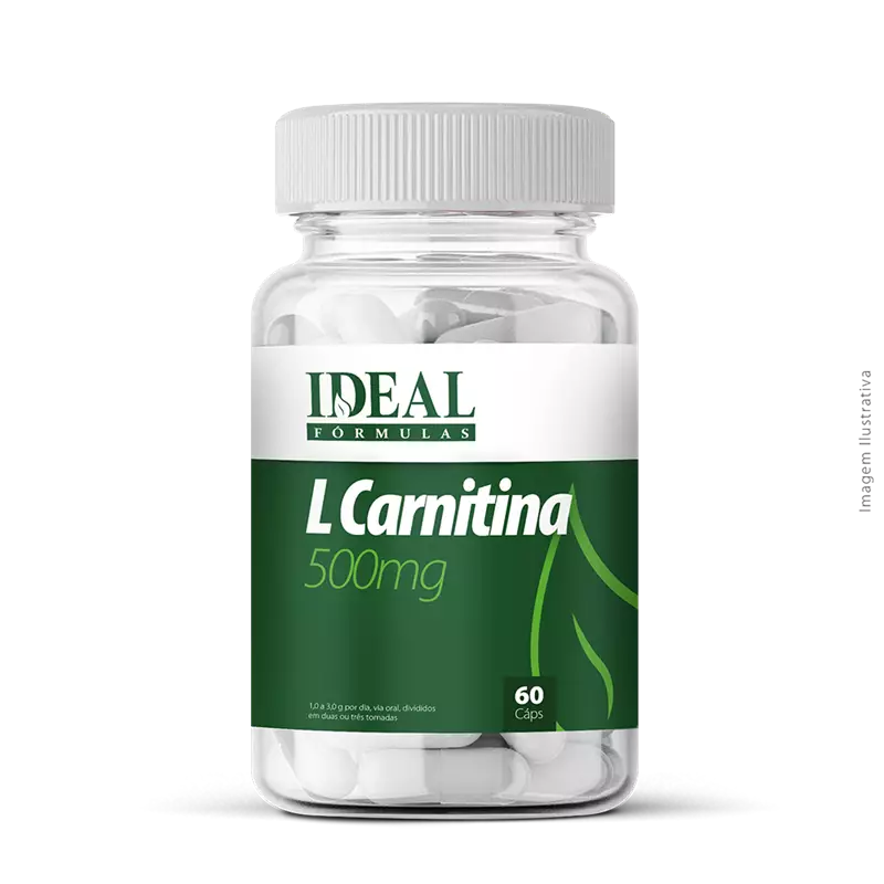 L Carnitina 500mg 60 Cápsulas